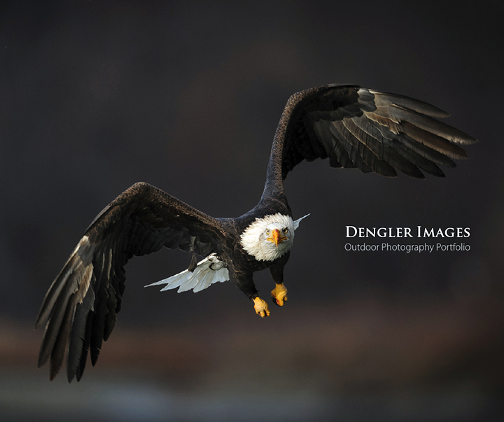 Cover to portfolio book by outdoor photographer John L. Dengler