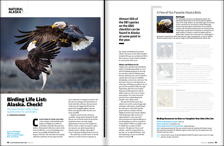 Tearsheet from June 2014 issue of Alaska magazine of bald eagles fighting on the Chilkat River near Haines, Alaska