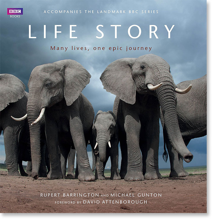BBC Book - Life Story cover