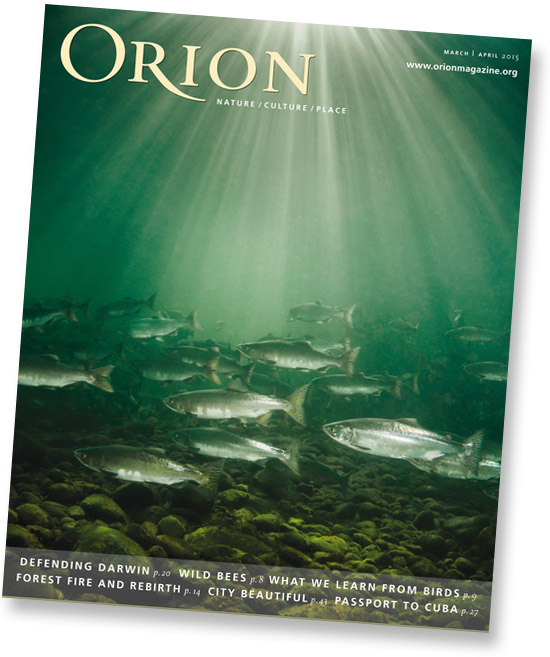 Orion magazine cover