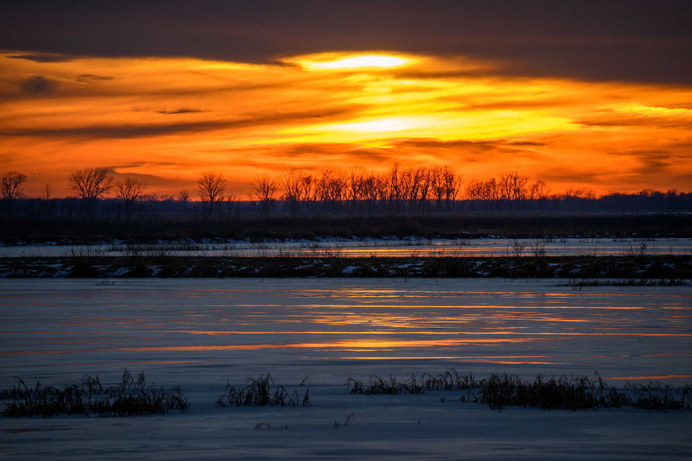 Sunset over the Cattail Pool at Loess Bluffs NWR (formerly known as Squaw Creek). Loess Bluffs is a wildlife refuge managed by the U.S. Fish and Wildlife Service. The 700-acre refuge, located in northwest Missouri is known for the migrating waterfowl, particularly Snow Geese. Fall and Spring migration can bring millions of Snow Geese to the refuge. Also, bald eagles and an occasional golden eagle pass through the area during the fall and winter months. 

The 10-mile auto tour around the waterways and marshes of the refuge is an excellent way to spot birds of prey, waterfowl, beavers, otters, and muskrats.