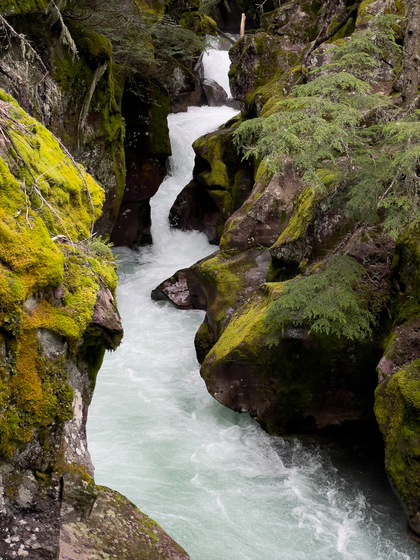 Avalanche Creek gorge