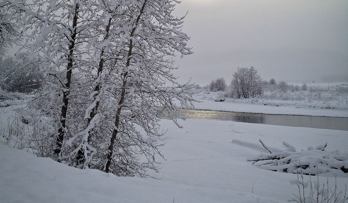 Chilkat River snowscape - DENGLER IMAGES