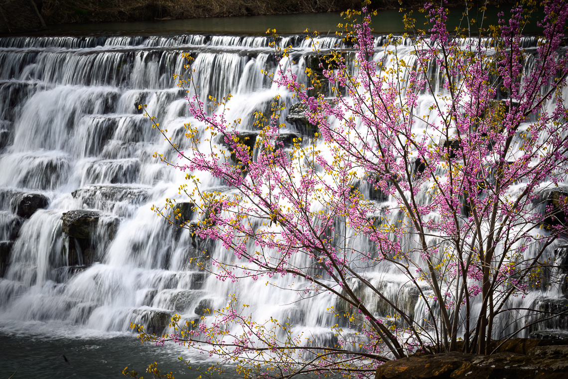 Springtime at Devil’s Den